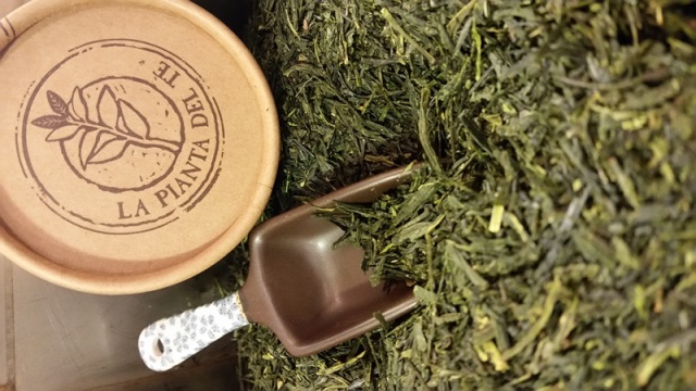 Sencha