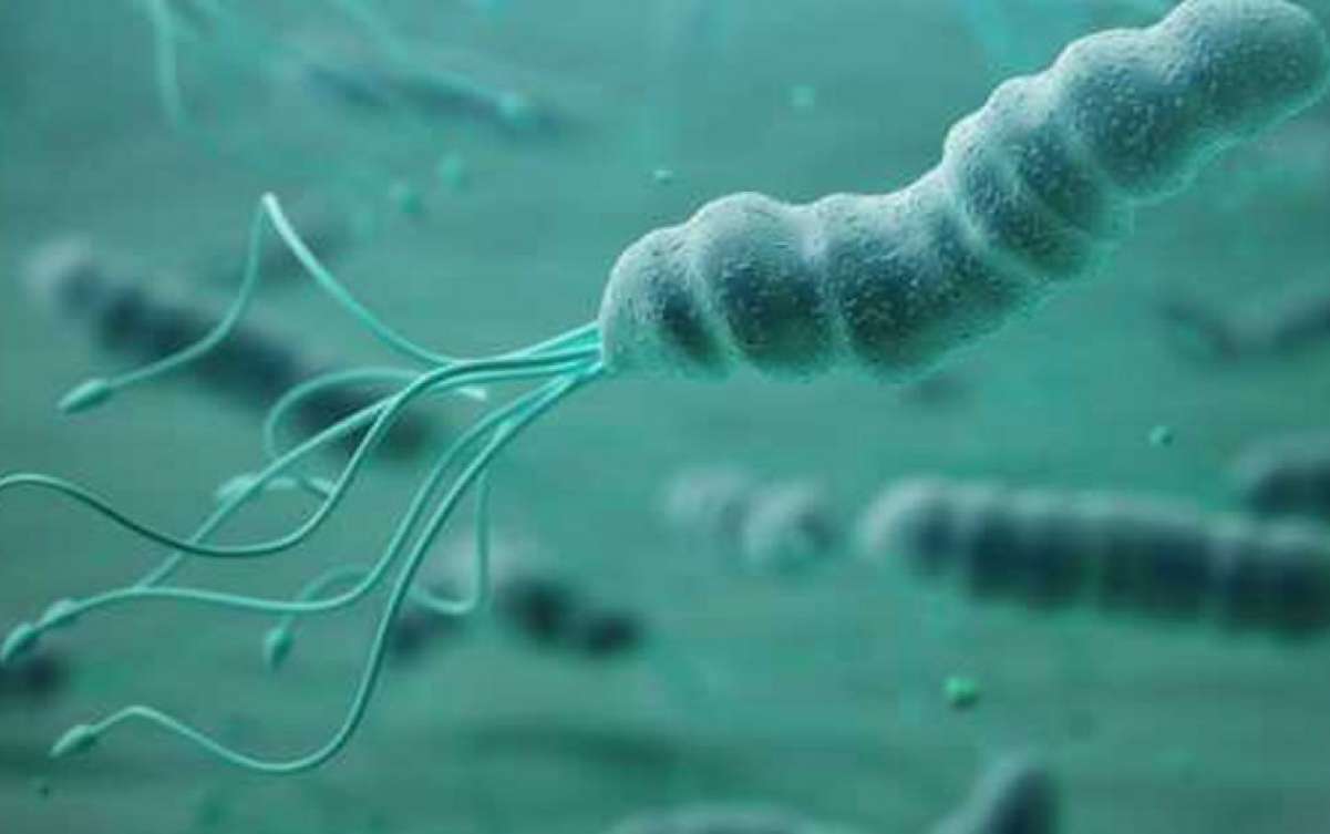 Helicobacter pylori e gastrite