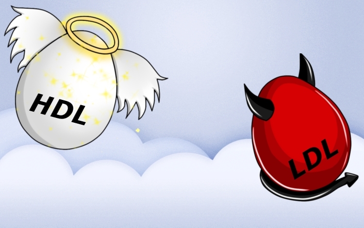 Non tutto il grasso viene per nuocere!