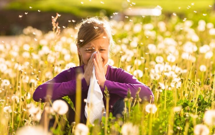Pronti per la primavera? Allergie e pratiche di purificazione