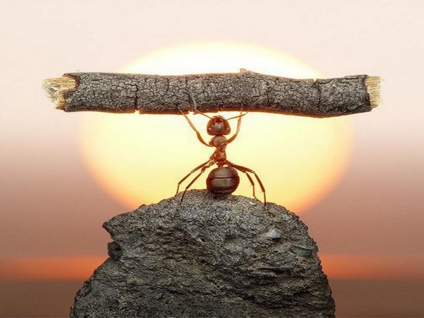 Il potere della volontà