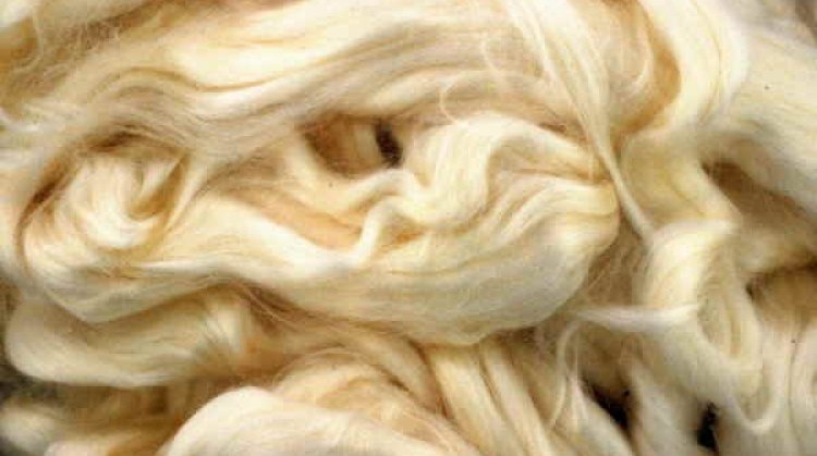 Biancheria Intima in Fibre Naturali: un connubio perfetto per la salute della propria pelle