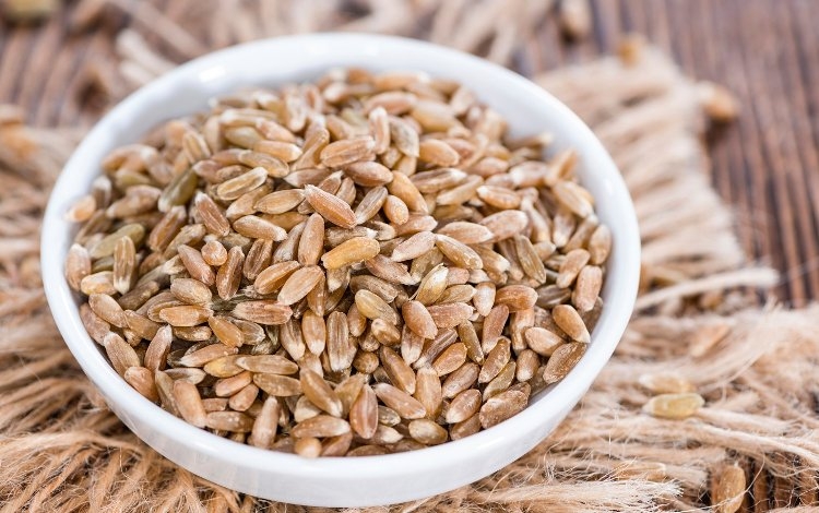 Le caratteristiche nutrizionali di Sua maestà il Farro