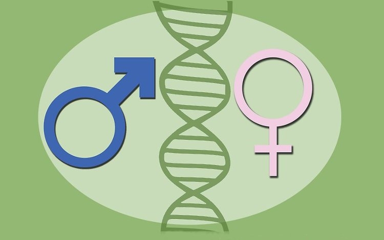 Uomini e donne: diversi davanti al tumore