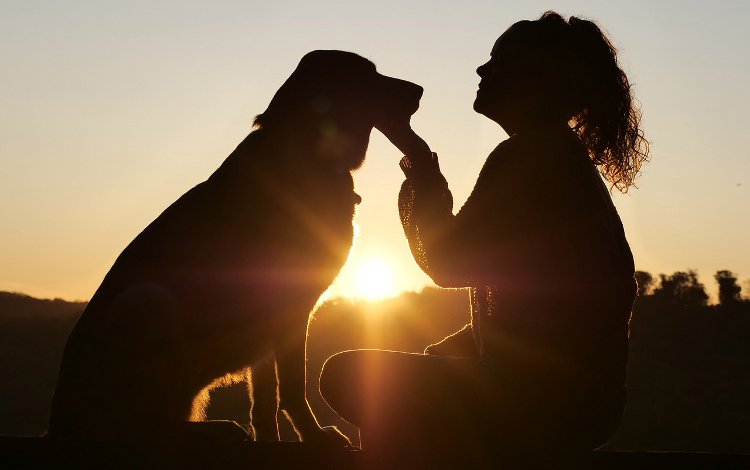 La Cura del Cane con la Medicina Integrata: Un Approccio Completo per il Benessere Naturale