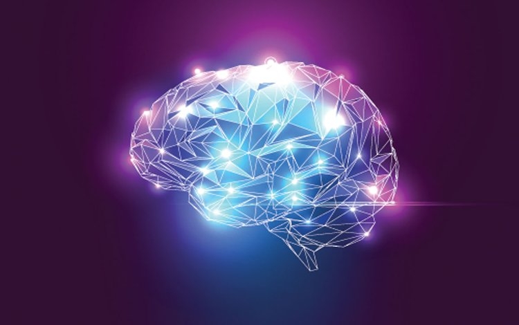 ISTINTO, EMOZIONE, RAGIONE: la teoria dei tre cervelli