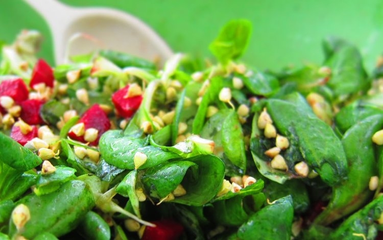 Crudismo: da dove inziare?