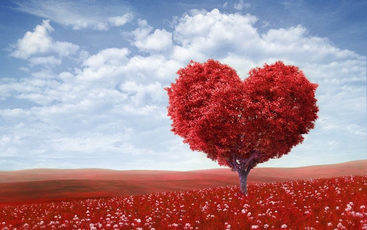 Guarigione emozionale